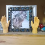 Debbie Dunn - Facebook