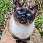 Debby Murphy Dunn - @debbydunn46 - Instagram