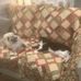 Debbi Harrison - Facebook