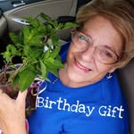 Debby Harrison - @poodledogde - Instagram