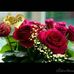 Debby Lynn - Facebook