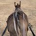 Debby Miller - Facebook