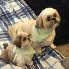 Debby Miller - @debby.miller82 - TikTok