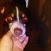 Debby Morris - Facebook