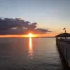 debbymorrisonhess - @debbymorrisonhess - TikTok