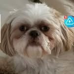 Debby Parker - @debby.parker.963 - Instagram