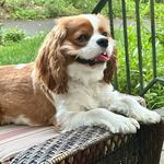 Debby Richards Schuster - @schuki522 - Instagram