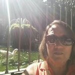 DebSunshine - @debbysteinhoff - Instagram