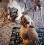 Debby Theisen - Facebook