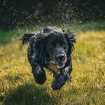 Debbie Tucker - @exmoorranger - Instagram