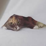 Debby Tucker - @debbytucker - Instagram
