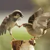 debibailey837 - @d2bail - TikTok