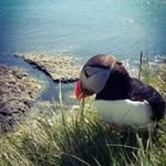 Debbie Blake - @debbieblake09 - Instagram