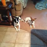 Debbie Blake - @debbie.blake.3701 - Instagram