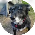 Debbie Boyle - @debig362 - Instagram