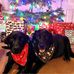 Debbi Burdick - Facebook