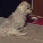 Debi Carpenter Schaefer - @schaeferdebi - Instagram