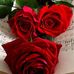 Debi Phillips - Debi Sings Karen Carpenter - A Tribute - Facebook