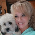 Top Dog Grooming / Debi Cox - @topdoggrooming123 - Instagram