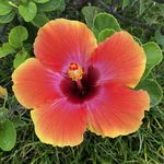 Debi Crane Schweikert - @quilteedee - Instagram