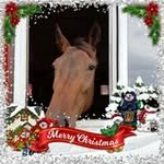 Debbie Dunn - @debbie.dunn.9421450 - Instagram