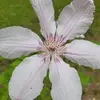 Debi Ellis Barber - @debi.ellis.barber - TikTok