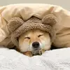DEB GOULD - @deb.gould - TikTok