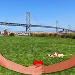 Debi Gould - @harpsmom67 - Instagram