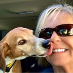 Debi Goulding - @gouldingdebi - Instagram