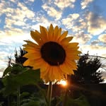 Debi Jackson - @debi.jackson.56 - Instagram