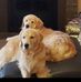 Debi Knight - Facebook