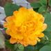 Debi Knight Schepp - Facebook