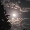 debiknightbovee - @debiknightbovee - TikTok