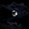 Debbie.Landry - @hmuelfepq0j - TikTok