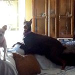Debi Miller - @debi5719 - Instagram