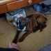 Debi Miller - Facebook