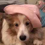 Debi Morse - @dmorse65 - Instagram