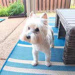 Debi Neal - @debineal70 - Instagram