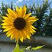 Debbie Nicholson - Facebook
