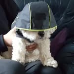 Debi Nicholson - @littletink74 - Instagram