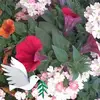 Deb Pelletier - @debpelletier - TikTok