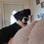 Debi Simmons - @debi.simmons.14 - Instagram