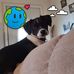 Debi Simmons - Facebook