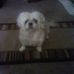 Debbie Stephens - Facebook