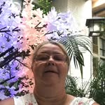 Debbie swanson - @deb195966horse - Instagram