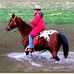 Debi Swanson - Facebook