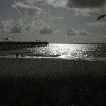 Debbie Weaver - @debilovetheocean - Instagram