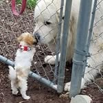 Debbie Weaver - @debbie.weaver.71653 - Instagram