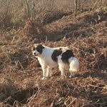 Debbie Weaver - @debweaver123 - Instagram