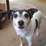 Debi Vaughn Willis - @dlwillis5 - Instagram